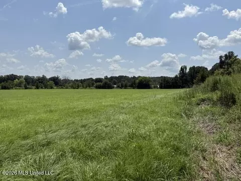 0 Tallabogue Rd, Forest, MS 39074 photo 11