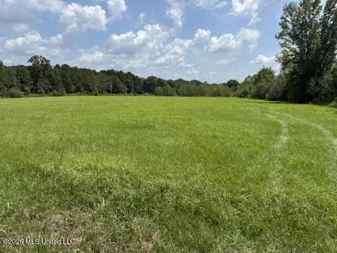 0 Tallabogue Rd, Forest, MS 39074 photo 4