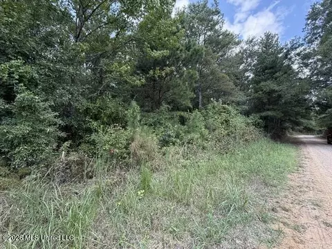 0 Tallabogue Rd, Forest, MS 39074 photo 22