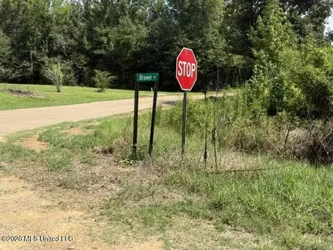 0 Tallabogue Rd, Forest, MS 39074 photo 2