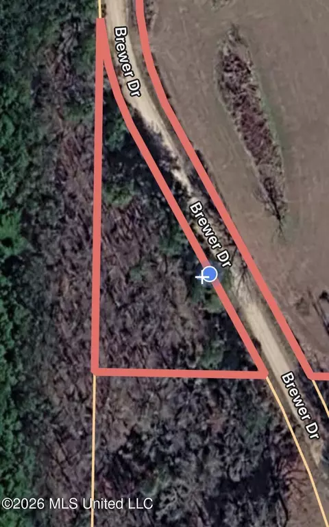 0 Tallabogue Rd, Forest, MS 39074 photo 17