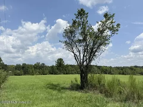 0 Tallabogue Rd, Forest, MS 39074 photo 9