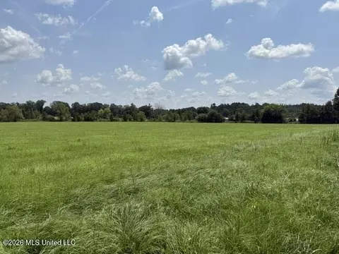 0 Tallabogue Rd, Forest, MS 39074 photo 12