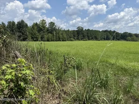 0 Tallabogue Rd, Forest, MS 39074 photo 5