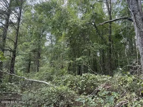0 Tallabogue Rd, Forest, MS 39074 photo 19