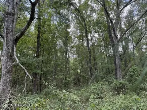 0 Tallabogue Rd, Forest, MS 39074 photo 20