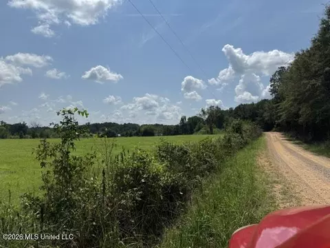 0 Tallabogue Rd, Forest, MS 39074 photo 8