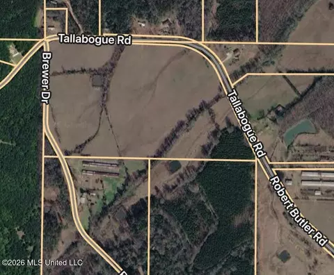 0 Tallabogue Rd, Forest, MS 39074 photo 23