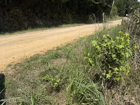 0 Tallabogue Rd, Forest, MS 39074 photo 6