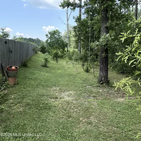 Exterior - 168 Grace Dr, Flowood, MS 39232 photo 6 of 9
