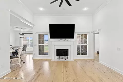 Living - 728 Danforth Dr, Madison, MS 39110 photo 1 of 1