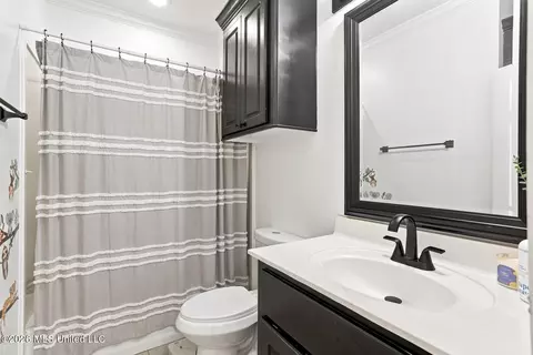 Bath - 728 Danforth Dr, Madison, MS 39110 photo 4 of 4