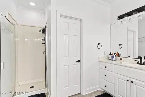 Bath - 728 Danforth Dr, Madison, MS 39110 photo 2 of 4