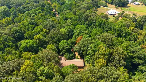 Other - 3206 Fogg Rd, Nesbit, MS 38651 photo 5 of 6