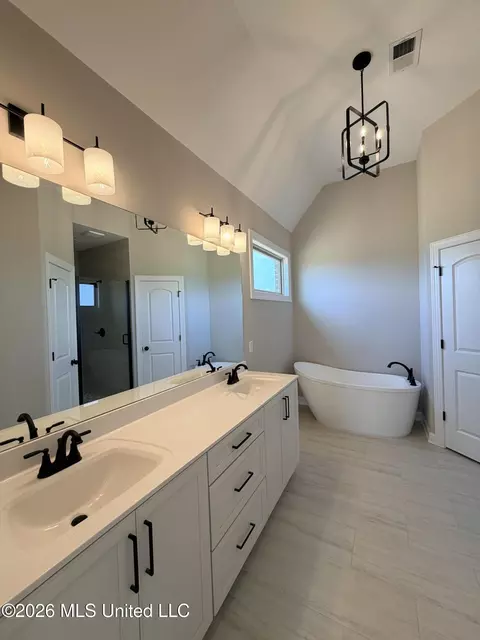 Bath - 3151 E School Loop Rd, Lake Cormorant, MS 38641 photo 3 of 3