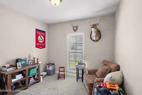 Other - 185 Buckhead Dr, Madison, MS 39110 photo 7 of 8