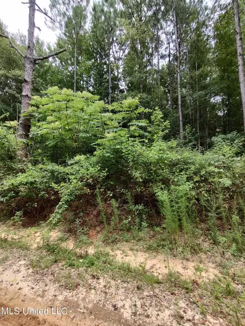 Lakeshore Drive, Lumberton, MS 39455 photo 3