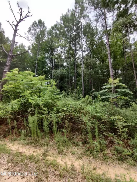 Lakeshore Drive, Lumberton, MS 39455 photo 5