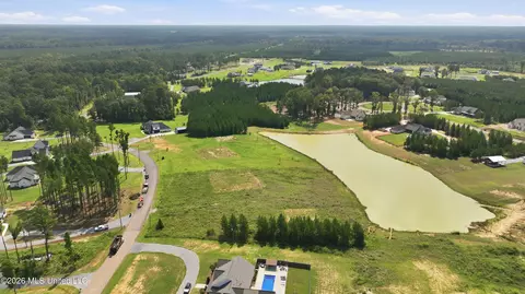 Stull Road, Brandon, MS 39047 photo 16