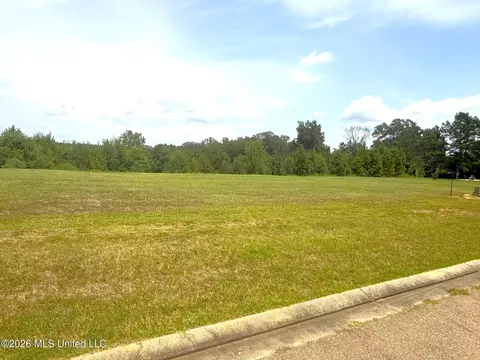 Fairway Cove, Mccomb, MS 39648 photo 6