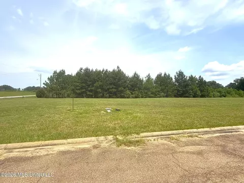 Fairway Cove, Mccomb, MS 39648 photo 4