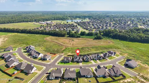 View/Area - 13511 Birch Bnd, Olive Branch, MS 38654 photo 5 of 5