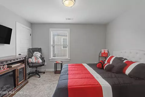 Bedroom - 13511 Birch Bnd, Olive Branch, MS 38654 photo 4 of 4