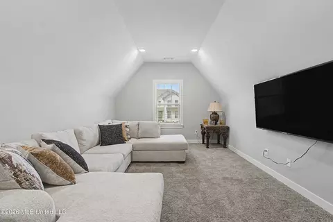 Other - 13511 Birch Bnd, Olive Branch, MS 38654 photo 6 of 6