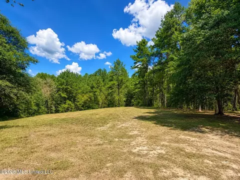 Other - 143 Pre Eddy Rd, Lucedale, MS 39452 photo 12 of 14