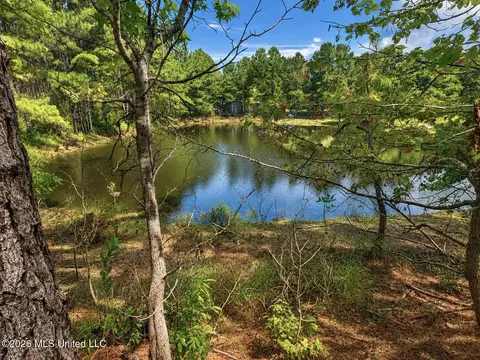 View/Area - 143 Pre Eddy Rd, Lucedale, MS 39452 photo 1 of 1