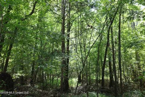 Ms-35, Carrollton, MS 38917 photo 22