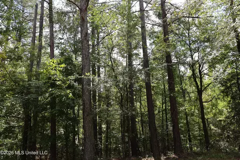 Ms-35, Carrollton, MS 38917 photo 34