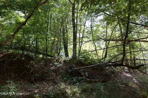 Ms-35, Carrollton, MS 38917 photo 27