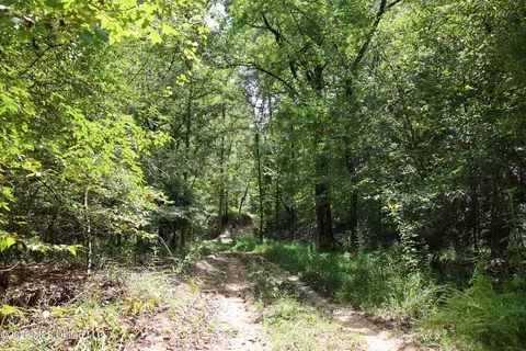 Ms-35, Carrollton, MS 38917 photo 29