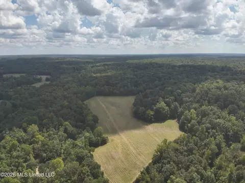 Ms-35, Carrollton, MS 38917 photo 4