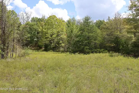 Ms-35, Carrollton, MS 38917 photo 21