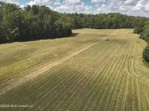 Ms-35, Carrollton, MS 38917 photo 3