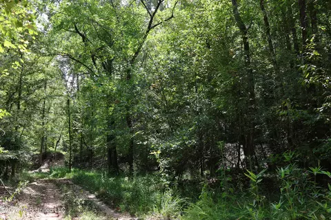 Ms-35, Carrollton, MS 38917 photo 20