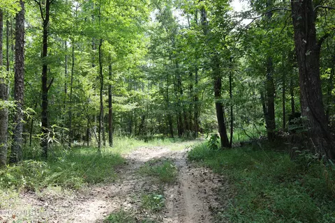 Ms-35, Carrollton, MS 38917 photo 31