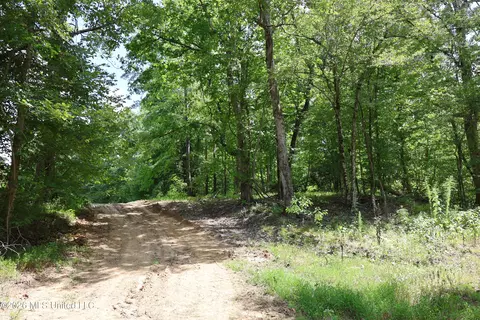 Ms-35, Carrollton, MS 38917 photo 48