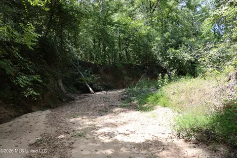 Ms-35, Carrollton, MS 38917 photo 7