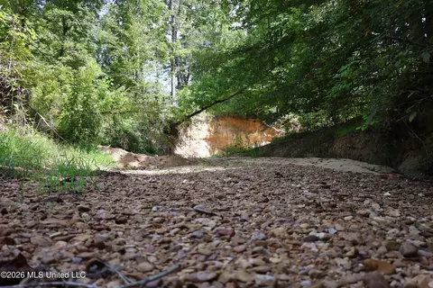 Ms-35, Carrollton, MS 38917 photo 36