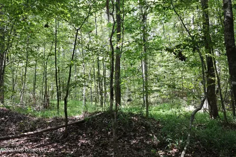 Ms-35, Carrollton, MS 38917 photo 38