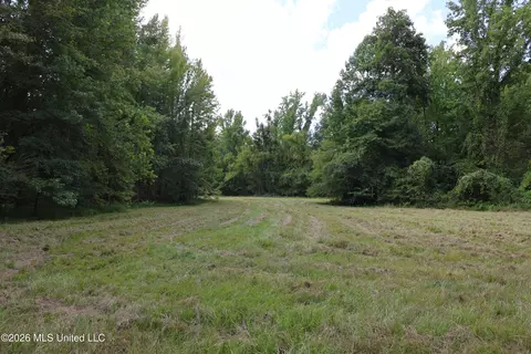 Ms-35, Carrollton, MS 38917 photo 13