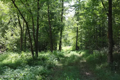 Ms-35, Carrollton, MS 38917 photo 28