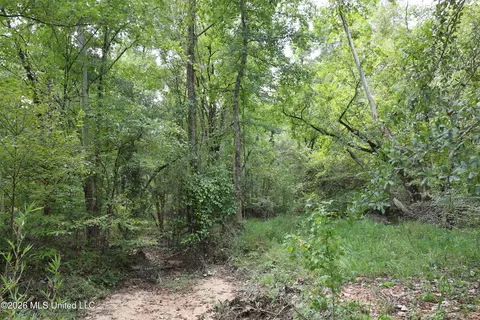 Ms-35, Carrollton, MS 38917 photo 30