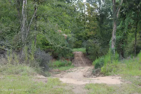 Ms-35, Carrollton, MS 38917 photo 33
