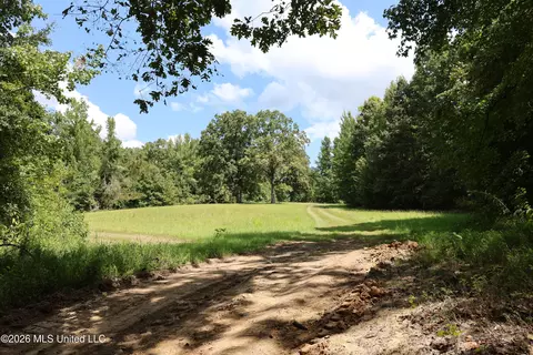 Ms-35, Carrollton, MS 38917 photo 35