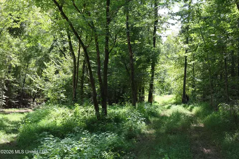 Ms-35, Carrollton, MS 38917 photo 11