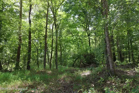 Ms-35, Carrollton, MS 38917 photo 26